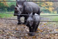 Burgers Zoo